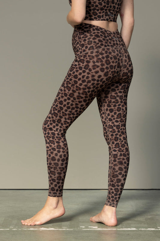 Maternity Leggings Leo Cocoa