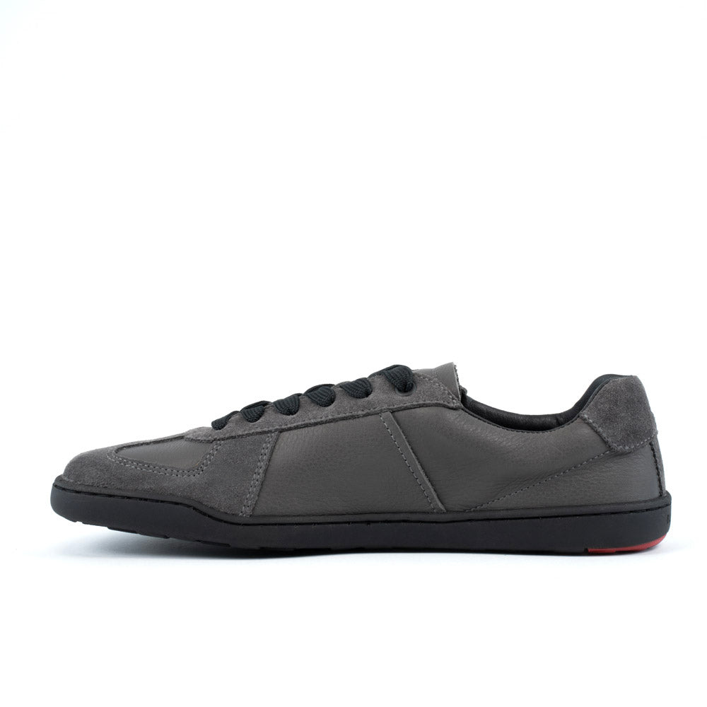 BLSN-200M dark grey